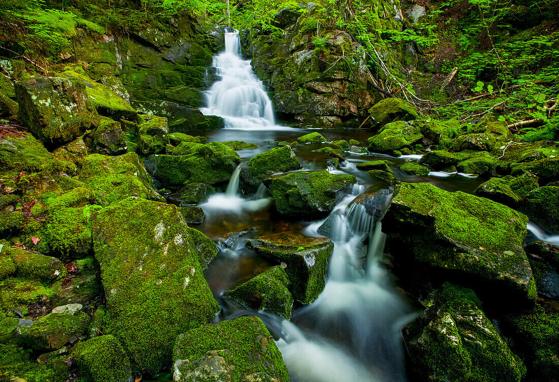 'Waterfall and mossy rocks, East branch of Great Village River, near Wentworth Valley; Nova Scotia, Canada'