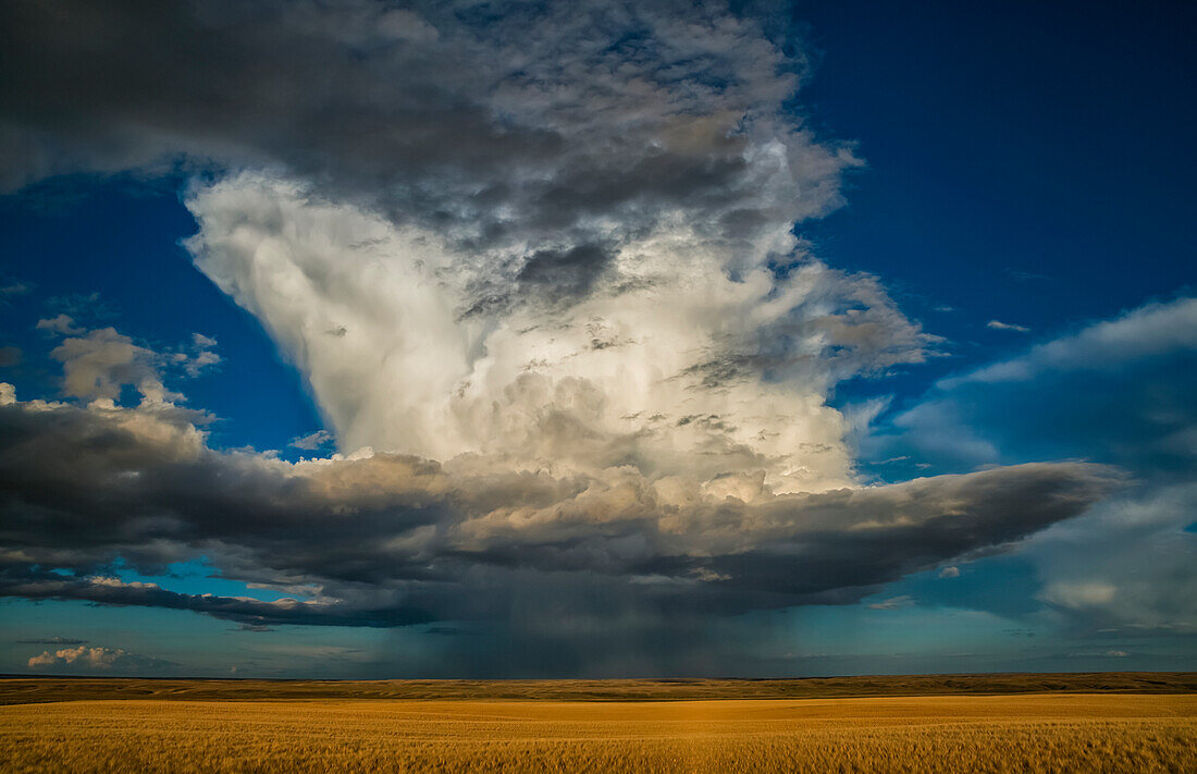 'Large thunderstorm storm cell over the prairies; Saskatchewan, Canada'