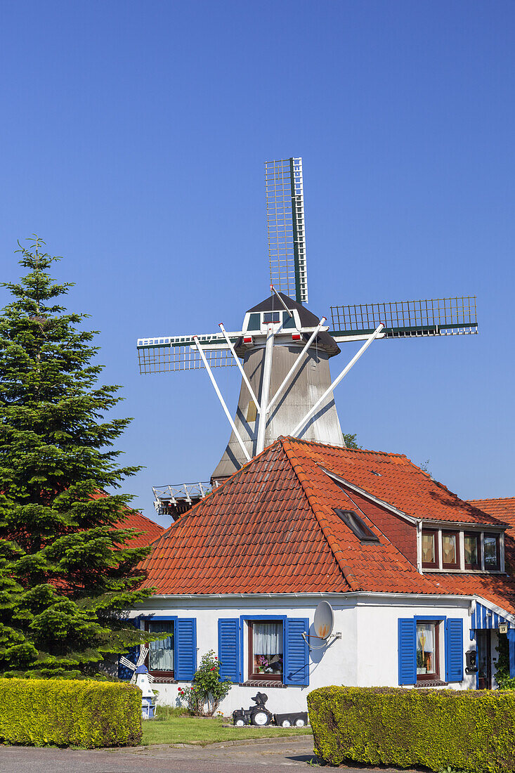 Windmill Neermoor in Moormerland, East Frisia, Friesland, Lower Saxony, Northern Germany, Germany, Europe