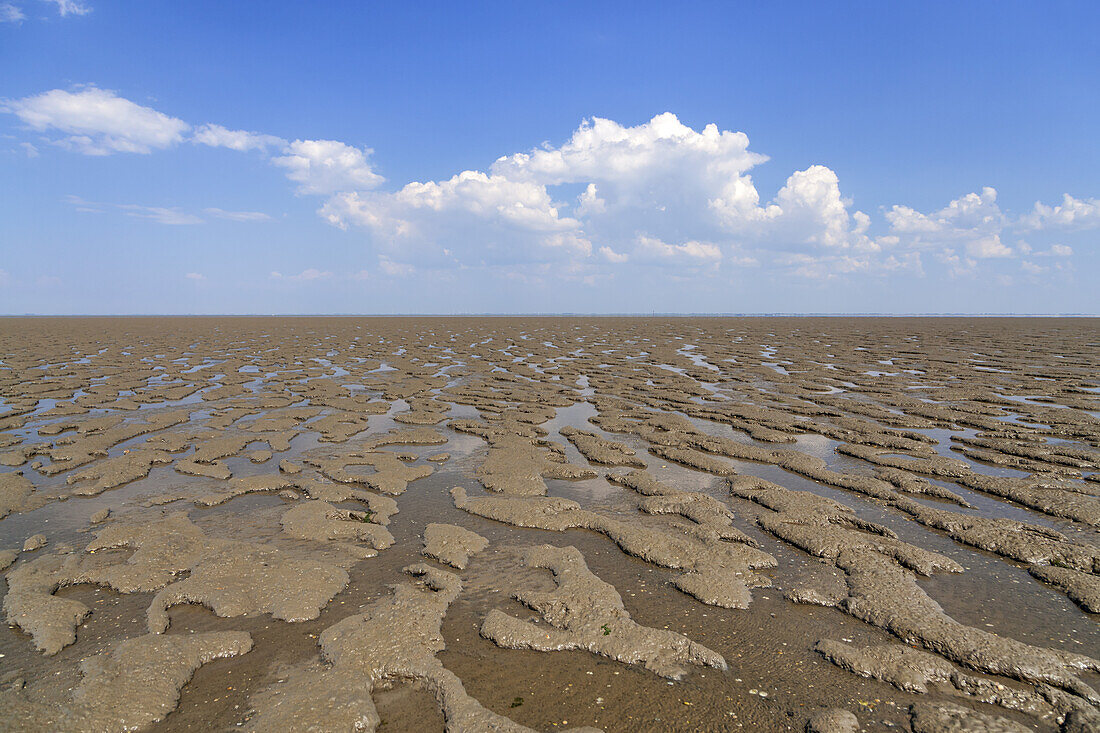 Blick auf das Watt bei Niedrigwasser am Jadebusen in Nordseebad Dangast, Varel, Ostfriesland, Niedersachsen, Norddeutschland, Deutschland, Europa