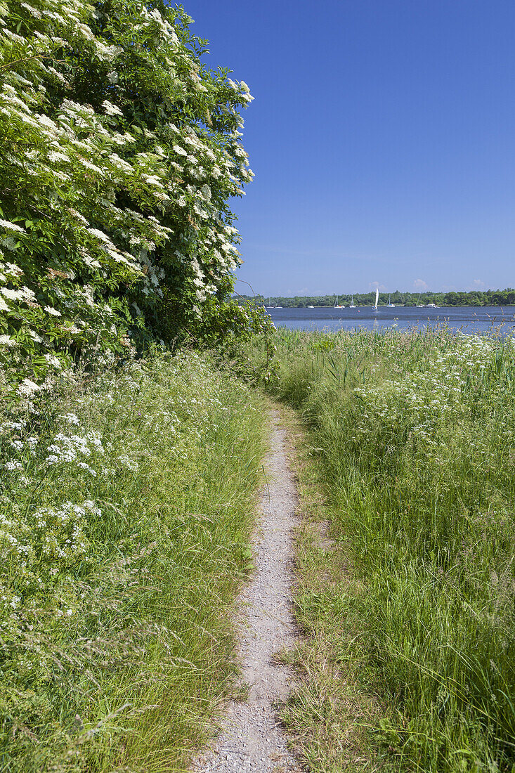 Path by the beach in Hooksiel, East Frisia, Friesland, Lower Saxony, Northern Germany, Germany, Europe