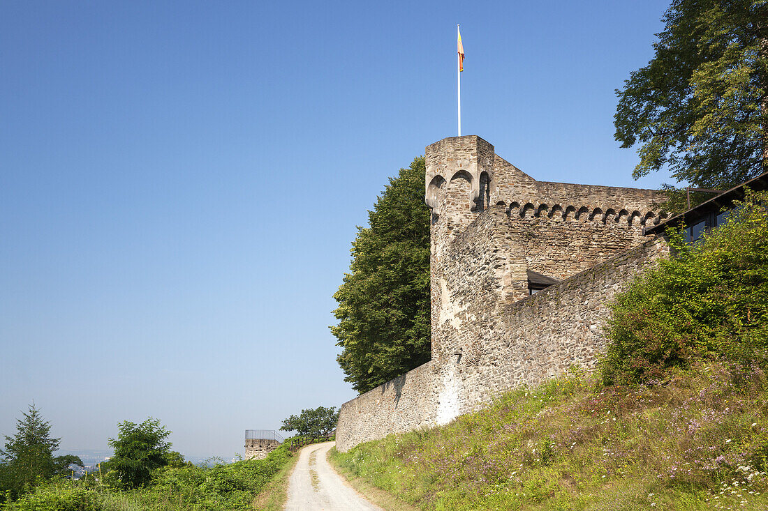 Mauer der Burg Sayn, Bendorf, Bendorf-Sayn, Unteres Mittelrheintal, Rheinland-Pfalz, Deutschland, Europa