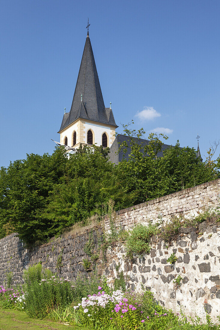 Town wall and church in Unkel by the river Rhine, Lower Central Rhine Valley, Rhineland-Palatinate, Germany, Europe