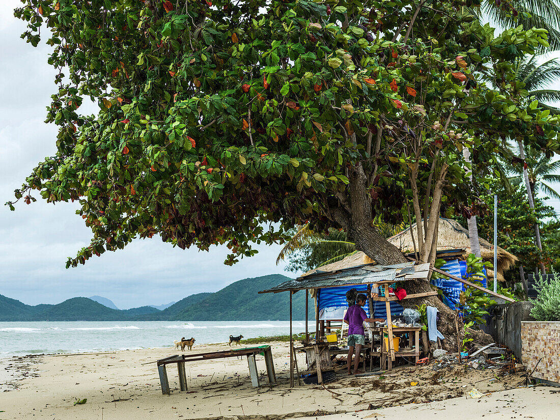'A man stands in his shanty home on the beach along the Gulf of Thailand; Ko Samui, Chang Wat Surat Thani, Thailand'