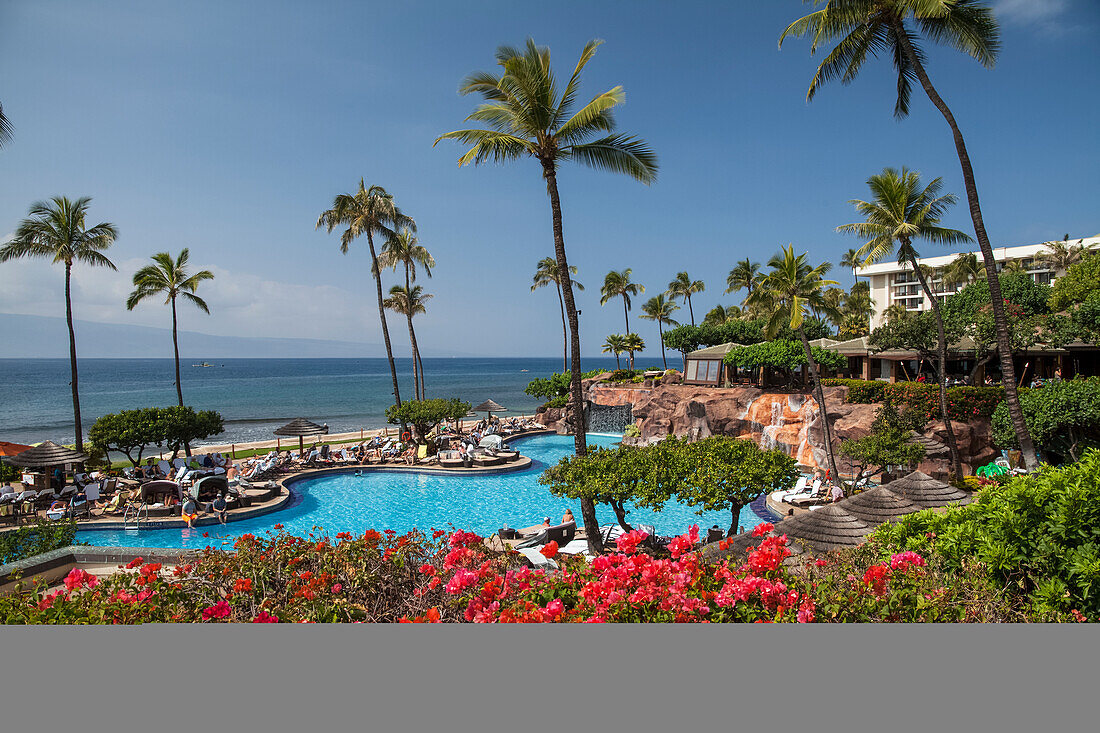 'Bouganvilla Blumen, Grand Hyatt; Kaanapali, Maui, Hawaii, Vereinigte Staaten von Amerika'