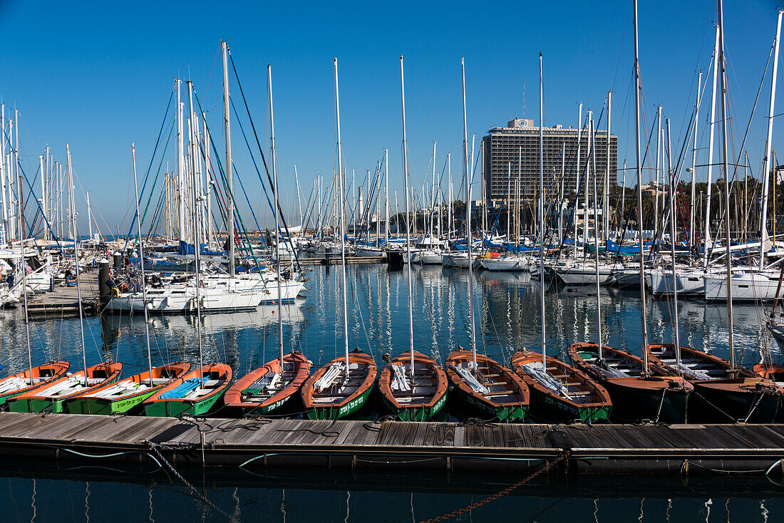 'Tel Aviv Marina mit zahlreichen Segelbooten vor Anker; Tel Aviv-Yafo, Bezirk Tel Aviv, Israel'