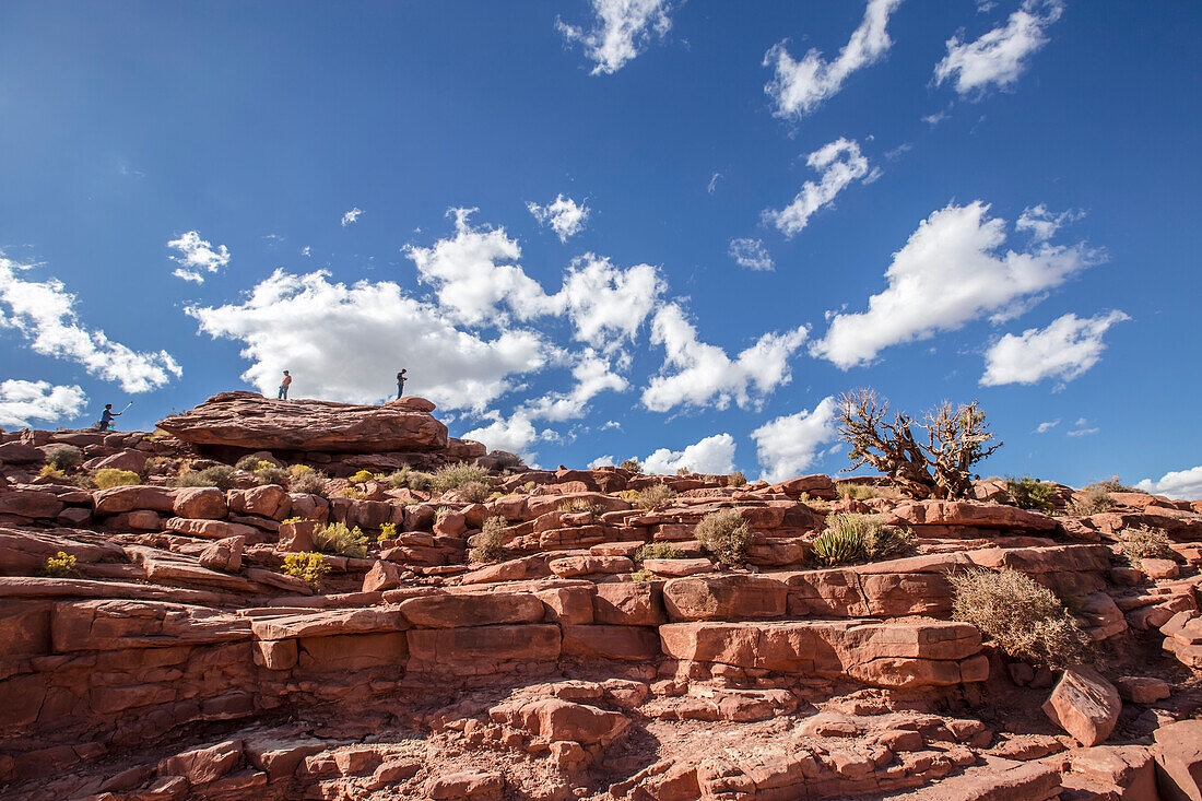 'Am Eagle Point im West Grand Canyon, steigen Touristen die steilen Bergketten für tolle Aussichtspunkte und Foto-Gelegenheiten von der Spitze dieser Aussichts-Wanderweg; Arizona, Vereinigte Staaten von Amerika'