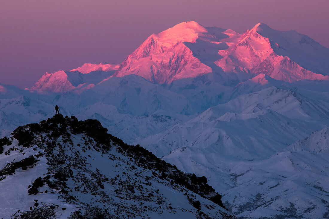 'A hiker on a ridge in Denali National Park is dwarfed by Denali at sunrise in winter; Alaska, United States of America'