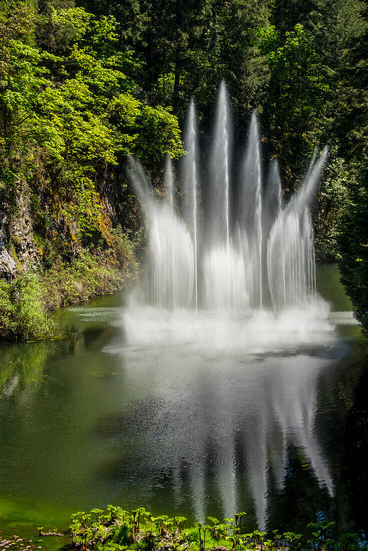Wasserbrunnen bei Butchart Gardens, Victoria, Britisch-Kolumbien, Kanada