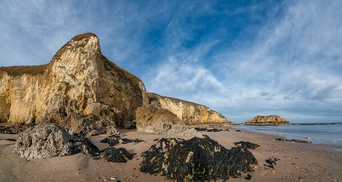 Landscape of cliffs along the coastline and seaweed and rocks on the beach, South Shields, Tyne and Wear, England