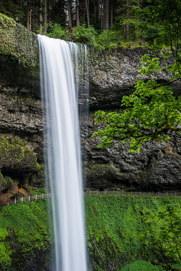 South Falls is the most popular waterfall at Silver Falls State Park, Silverton, Oregon, United States of America