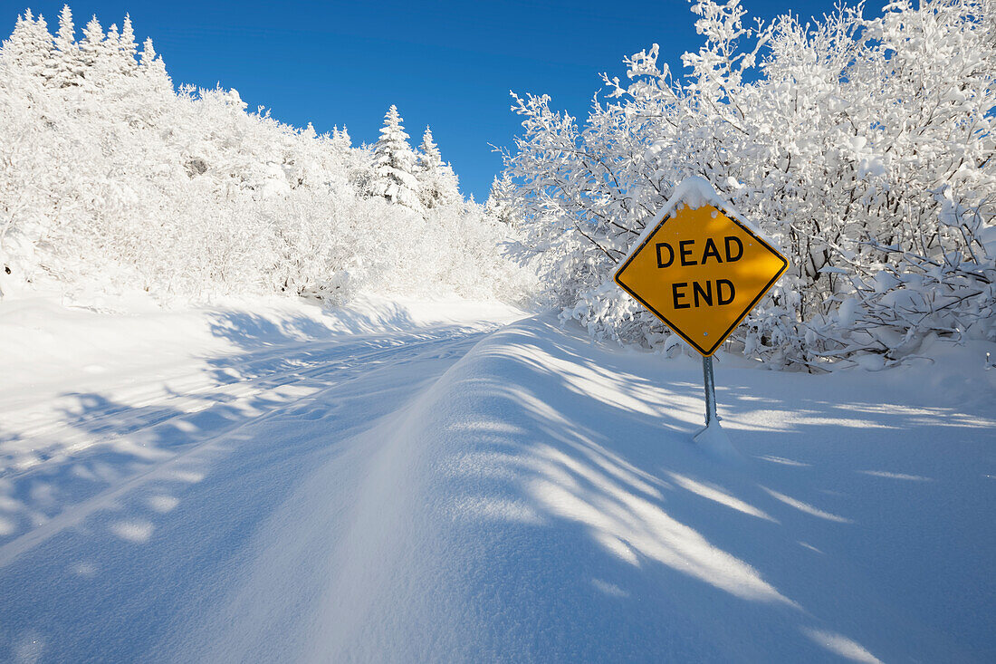 Eine Straße und Bäume bedeckt mit tiefem Schnee und einem gelben Schild, das Sackgasse sagt, Alaska, Vereinigte Staaten von Amerika