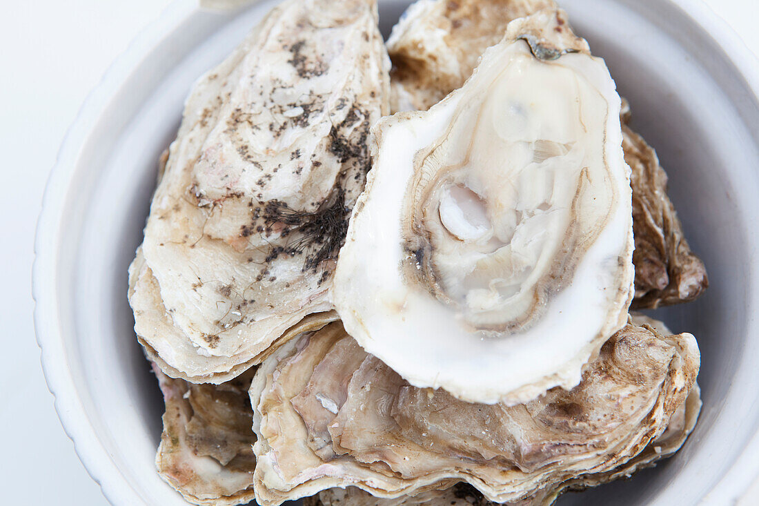 Oyster shells in a white bowl, Alaska, United States of America