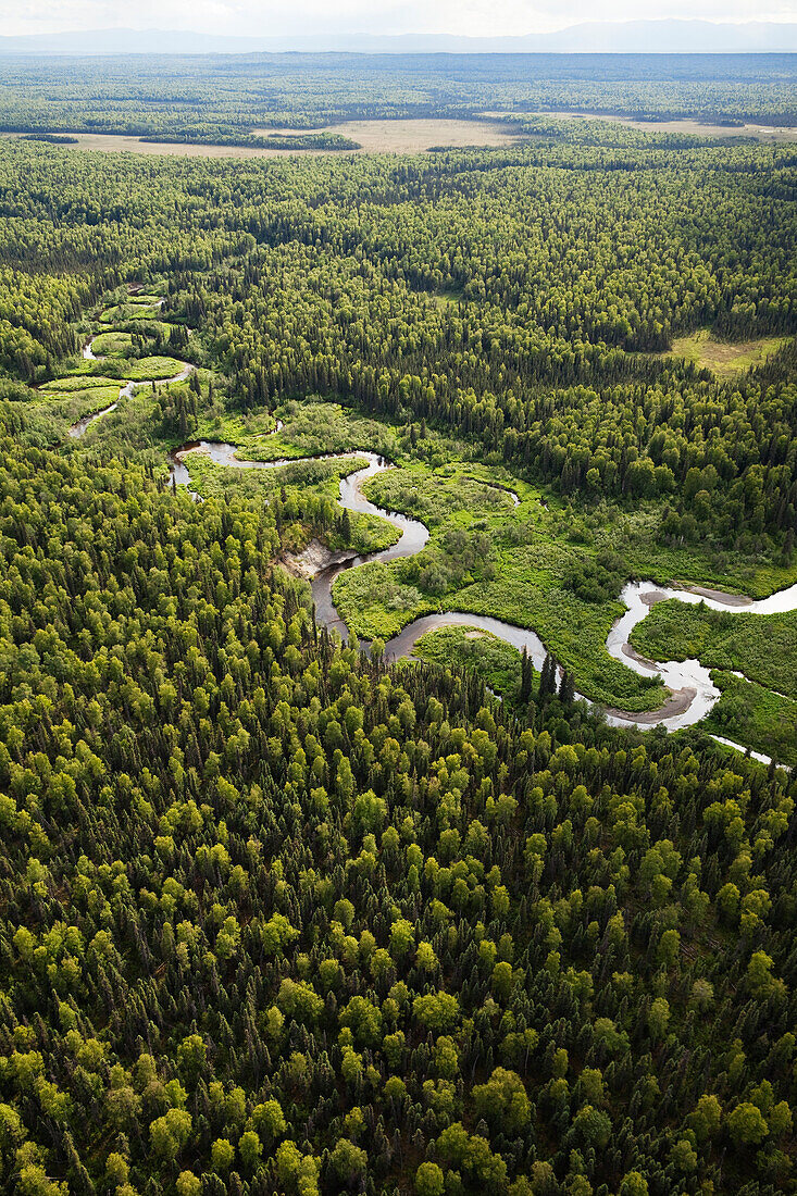 A river winding through a forested landscape, Matanuska-Susitna Borough, Alaska, United States of America