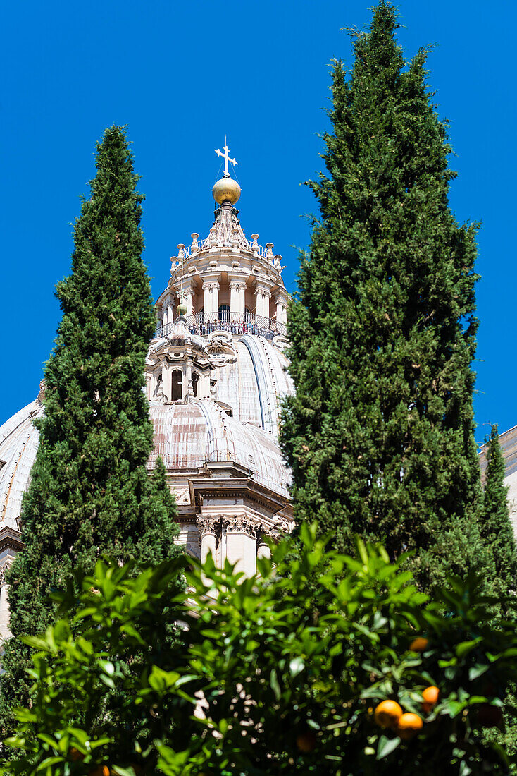 The dome of the St. Peter's Basilica Basilica di San Pietro seen from the German cemetery Campo Santo Teutonico, Rome, Latium, Italy