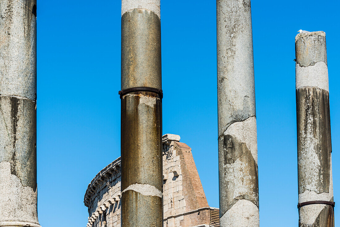 Das Kolosseum durch Säulen auf dem Forum Romanum gesehen, Rom, Latium, Italien