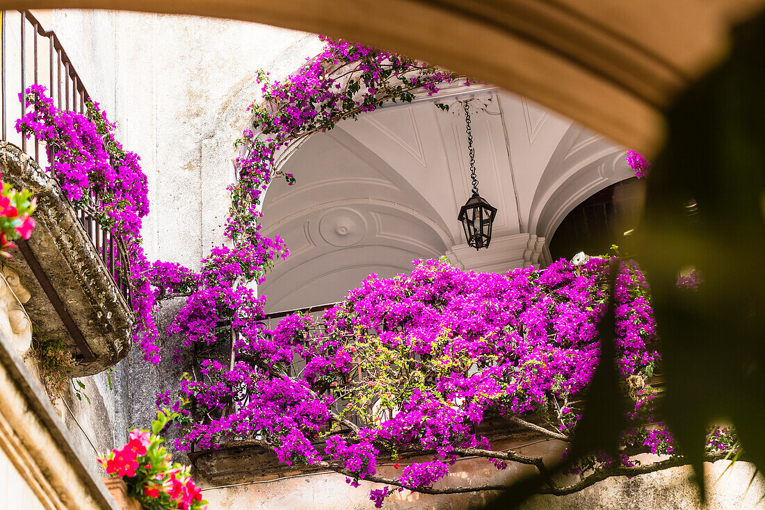 Ein mit Blumen geschmückter Innenhof, Positano, Amalfiküste, Kampanien, Italien