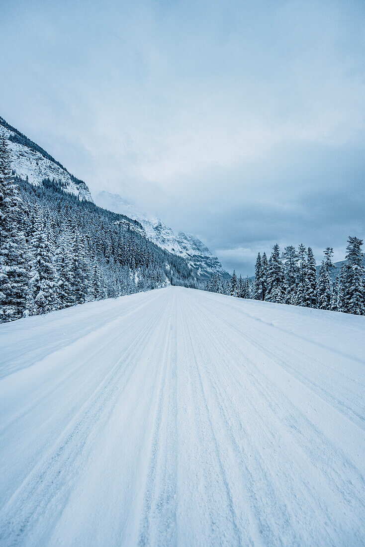 Icefields Parkway, Banff National Park, Jasper Nationalpark, Alberta, Kanada, Nordamerika