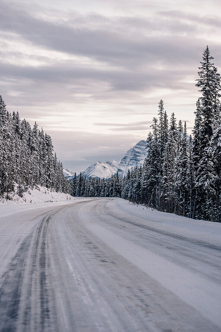 Icefields Parkway, Banff National Park, Jasper National Park, Alberta, Kanada, north america