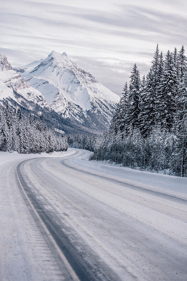 Icefields Parkway, Banff National Park, Jasper National Park, Alberta, Kanada, north america