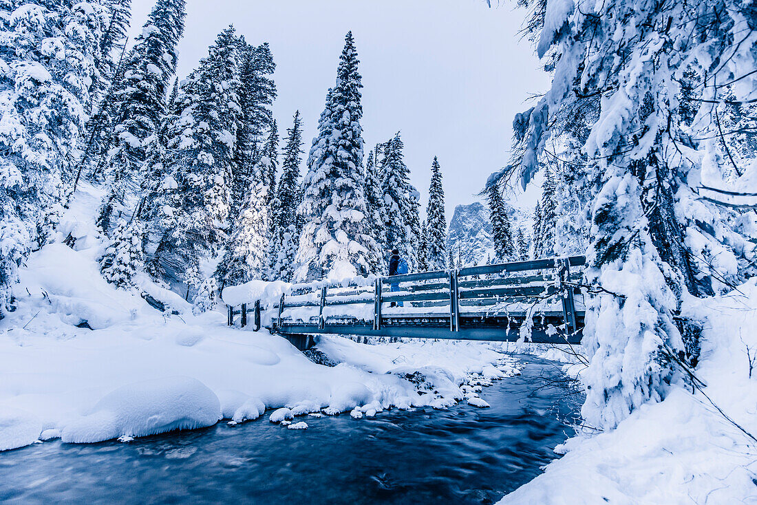 man on a bridge at Emerald Lake, Emerald lake, Yoho National Park, British Columbia, Kanada, north america