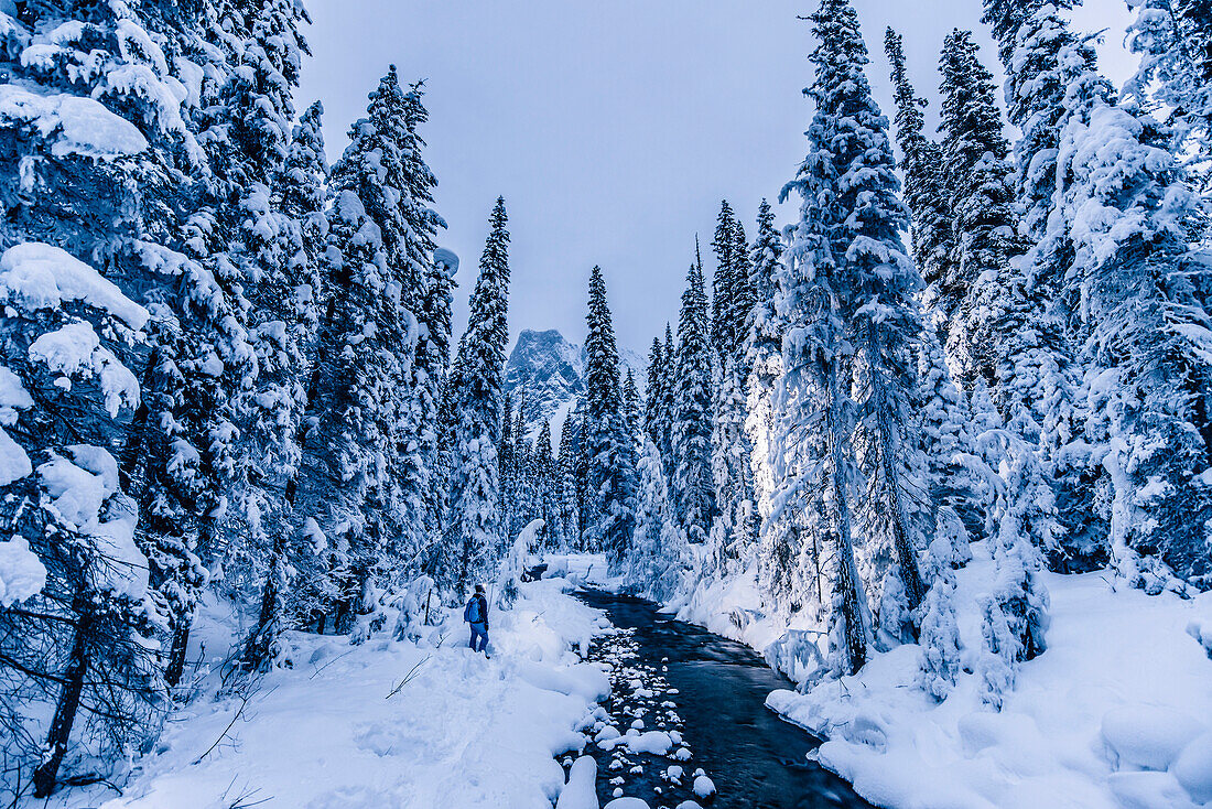 mann auf brücke am Emerald Lake Lodge, Emerald Lake, Yoho Nationalpark, British Columbia, Kanada, Nordamerika