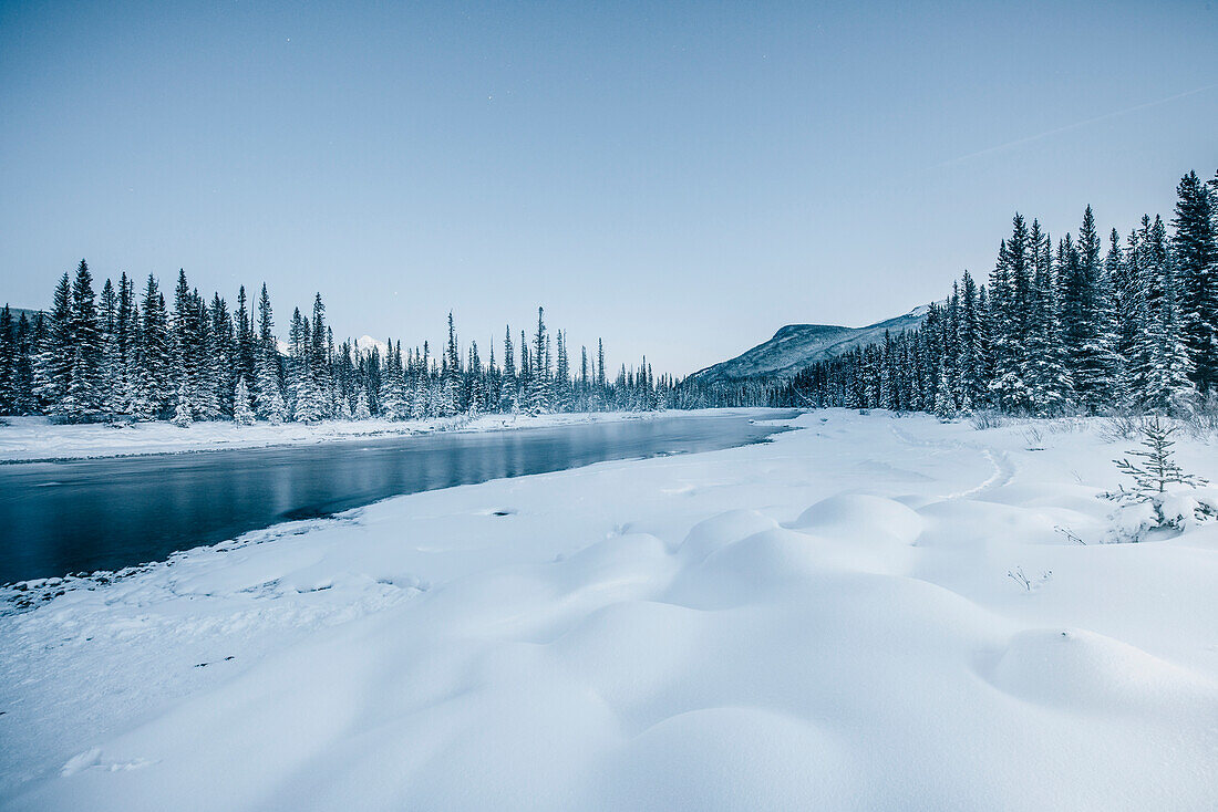 Flussufer am Bow River, Castle Junction, Banff Town, Bow Tal, Banff National Park, Alberta, Kanada, Nordamerika