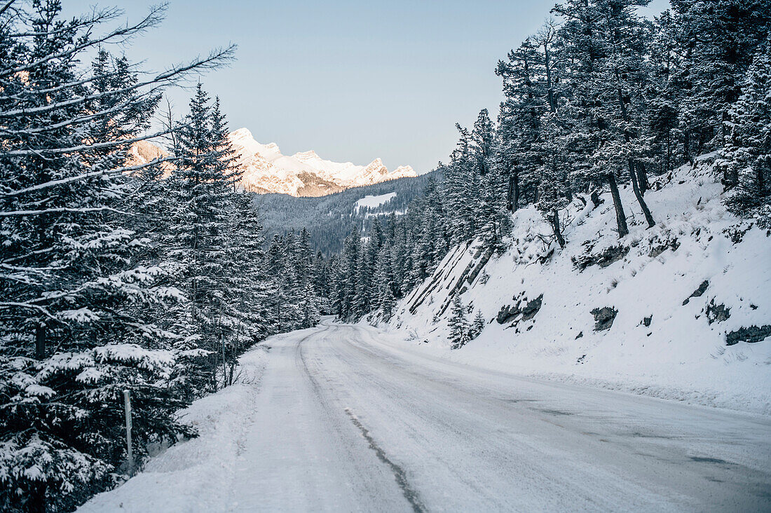 Bow Valley Parkway, Banff Town, Bow Valley, Banff National Park, Alberta, Canada, north america