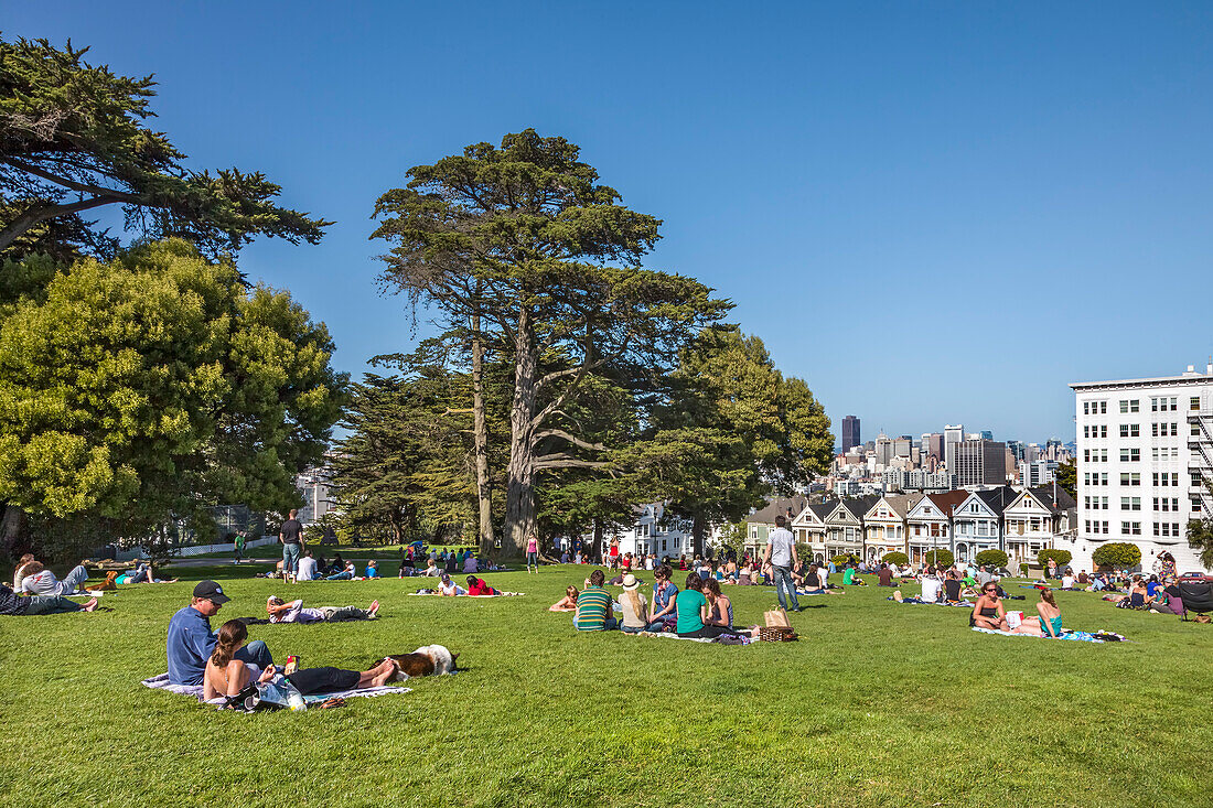 People relaxing in the park, Alamo Square, San Francisco, California, USA