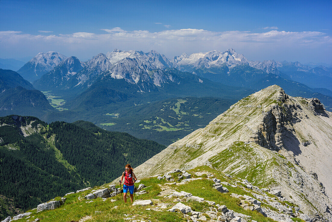 Woman hiking ascending towards Soiernspitze, Reissende Lahnspitze and Wetterstein range with Zugspitze in background, Soiernspitze, Karwendel range, Upper Bavaria, Bavaria, Germany
