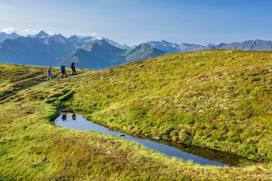 Three persons hiking at Pinzgau walk, High Tauern in background, Pinzgau walk, Kitzbuehel Alps, Salzburg, Austria
