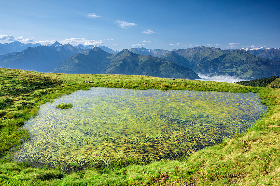 Small lake with view towards High Tauern, Pinzgau walk, Kitzbuehel Alps, Salzburg, Austria