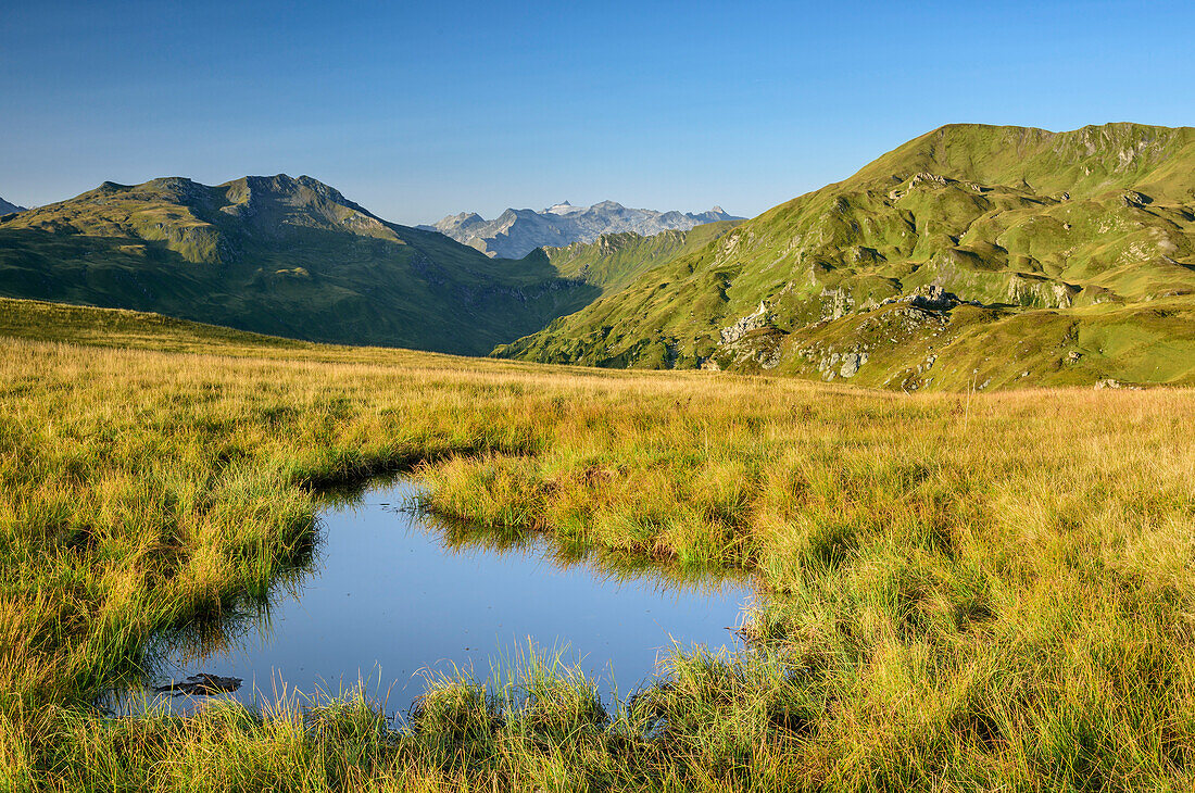 Alpine meadow with small lake, valley Riedingtal, Radstadt Tauern, Lower Tauern, Carinthia, Austria