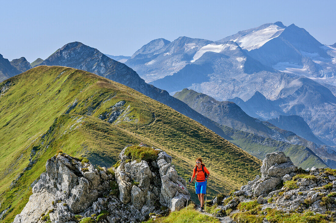 Woman hiking ascending towards Weissgrubenkopf, Hochalmspitze in background, Weissgrubenkopf, valley Riedingtal, Radstadt Tauern, Lower Tauern, Carinthia, Austria