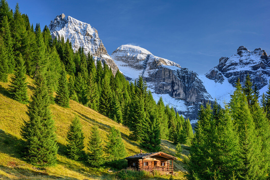 Almhütte unter Tribulaun, Pflerschtal, Stubaier Alpen, Südtirol, Italien