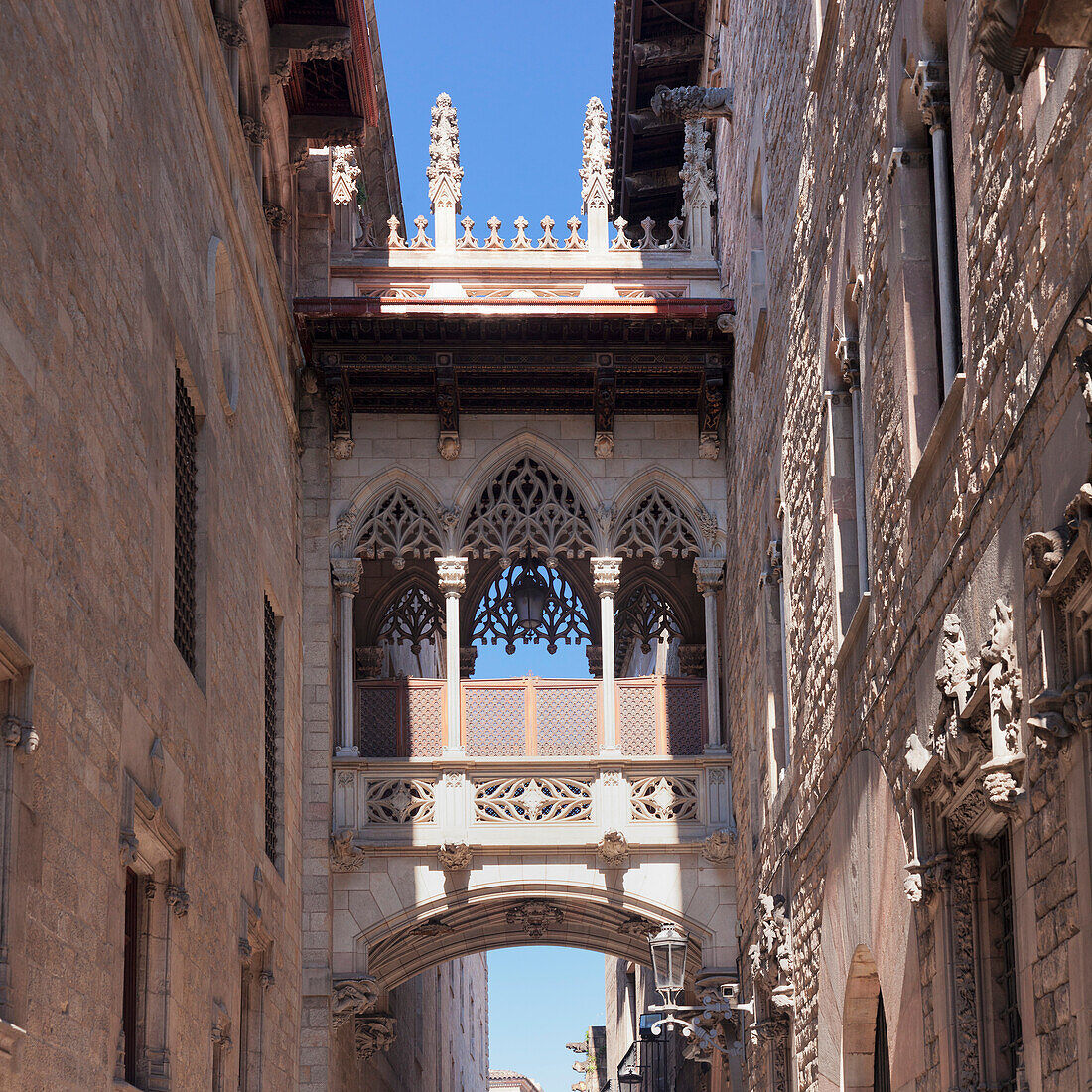 Pont del Bispe Bridge over Carrer del Bispe street, Palau de la Generalitat, Barri Gotic, Barcelona, Catalonia, Spain, Europe