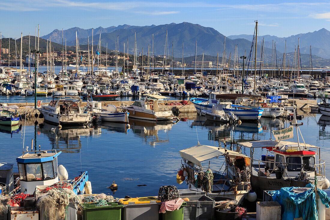 Old Port with fishing boats and yachts, view to distant mountains, Ajaccio, Island of Corsica, France, Mediterranean, Europe