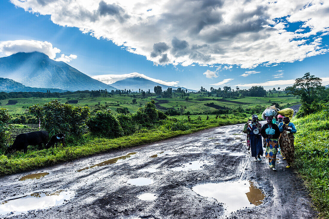 Lokale Frauen, die auf dem Kopf die vulkanische Bergkette des Virunga-Nationalparks tragen, nach Regen, Demokratische Republik Kongo, Afrika