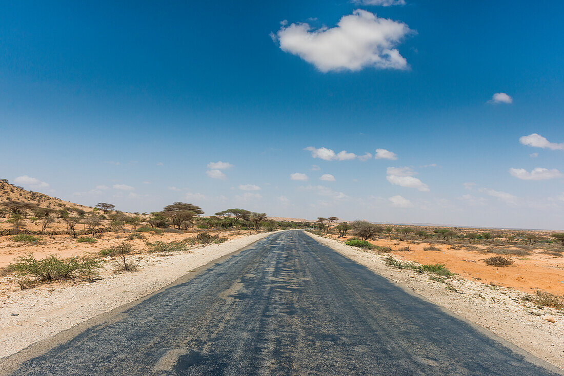 Straße zwischen Hargheisa und Berbera, Somaliland, Somalia, Afrika