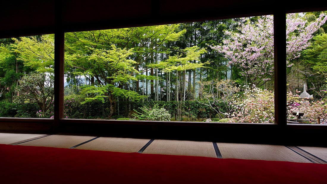 Frühling in Hosen-in-Tempel, Ohara-Tal, Kyoto, Japan, Asien