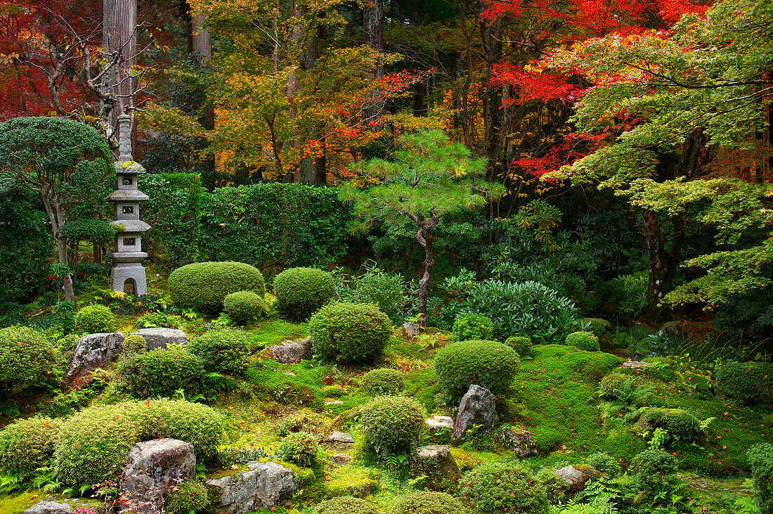Zen garden in autumn, Sanzen-in Temple, Kyoto, Japan, Asia
