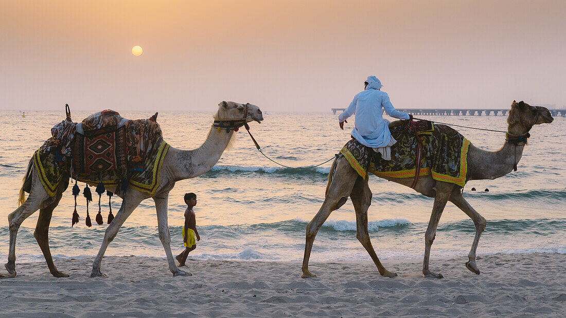 A young boy follows a man riding a camel in Dubai, United Arab Emirates, Middle East