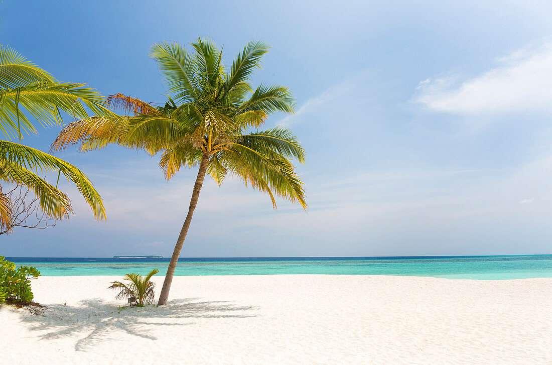 Tropical beach scene, Coco Palm Resort, Dhuni Kolhu, Baa Atoll, Republic of Maldives, Indian Ocean, Asia