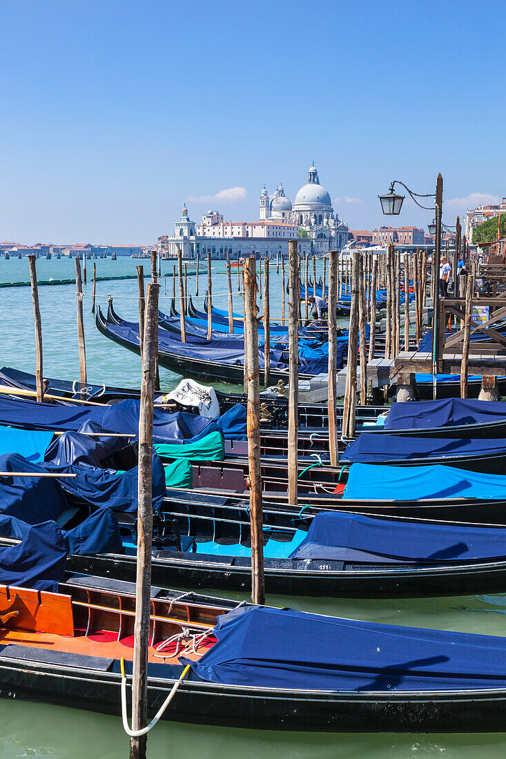 Gondolas moored in the Bacino di San Marco (St. Mark's Basin), waterfront, Venice, UNESCO World Heritage Site, Veneto, Italy, Europe