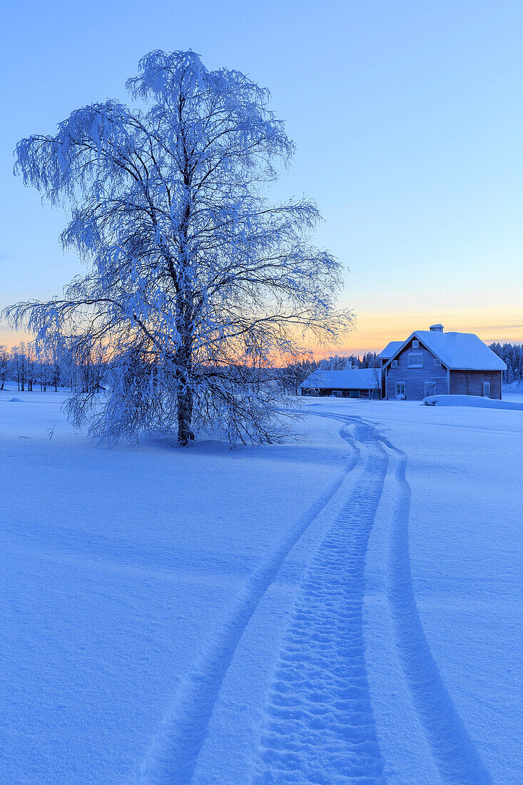 House in the taiga at the border between Sweden and Finland, Hukanmaa/Kitkiojoki, Norbottens Ian, Lapland, Sweden, Scandinavia, Europe