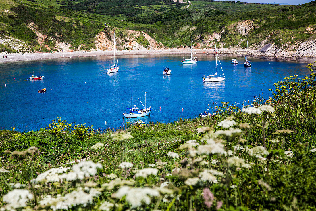 Lulworth Cove an einem heißen Sommertag, Jurassic Coast, UNESCO Weltkulturerbe, Dorset, England, Vereinigtes Königreich, Europa