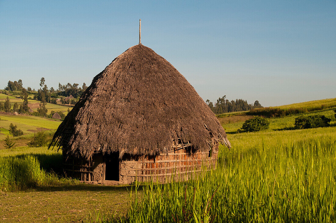 A traditional mud hut with a thatched roof in rural Ethiopia, Africa