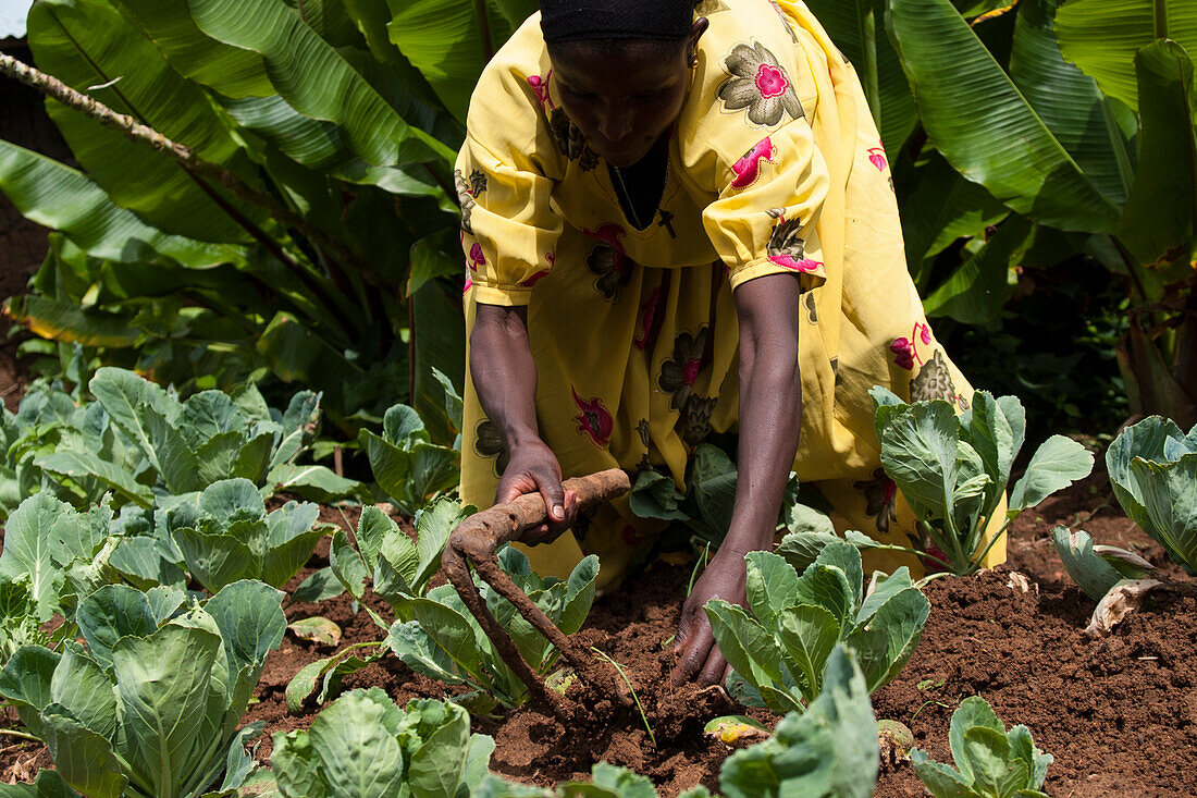 Eine Frau frisst ihre Ernte mit einer Hacke, Äthiopien, Afrika
