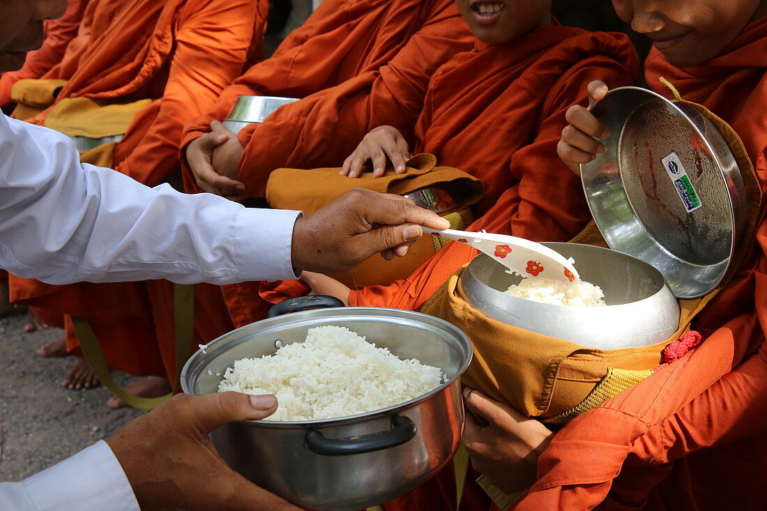 Buddhist monks on morning alms round in Western Cambodia, Indochina, Southeast Asia, Asia