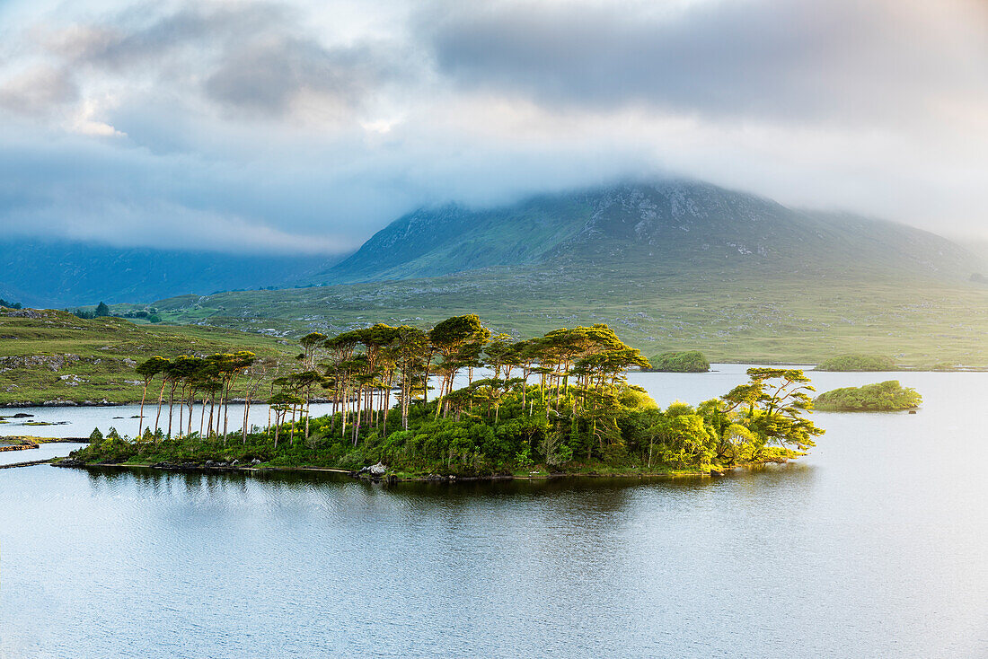 Pine Island am Derryclare Lake, Connemara, County Galway, Connacht, Irland, Europa